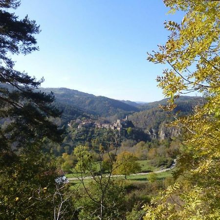Gite En Pierre Avec Terrasses, Proche De Sites Medievaux, Ideal Pour Famille Avec Equipements Bebe. - Fr-1-582-256 Boisset  Buitenkant foto
